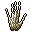 Hand Bones