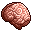 Human Brain